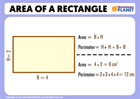 Rectangle Math Net Abcd Math - Abcd Math