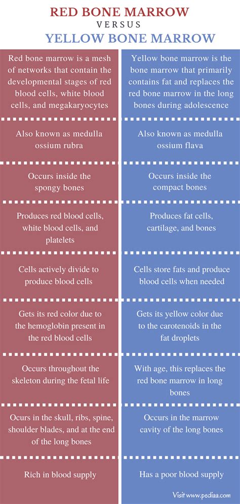 Red At The Bone Summary