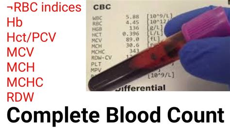 Red Blood Cell Count Understanding Mcv Mch Rdw Rdw Process Math - Rdw Process Math