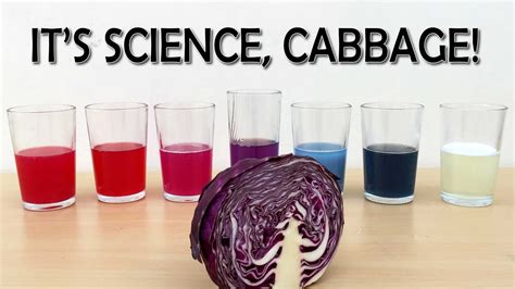 Red Cabbage Chemistry Activity Teachengineering Ph Lab Worksheet - Ph Lab Worksheet