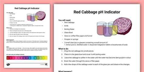 Red Cabbage Indicator Adult Guidance Sheet Twinkl Red Cabbage Indicator Experiment Worksheet - Red Cabbage Indicator Experiment Worksheet
