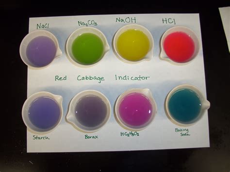 Red Cabbage Indicator American Chemical Society Red Cabbage Indicator Experiment Worksheet - Red Cabbage Indicator Experiment Worksheet