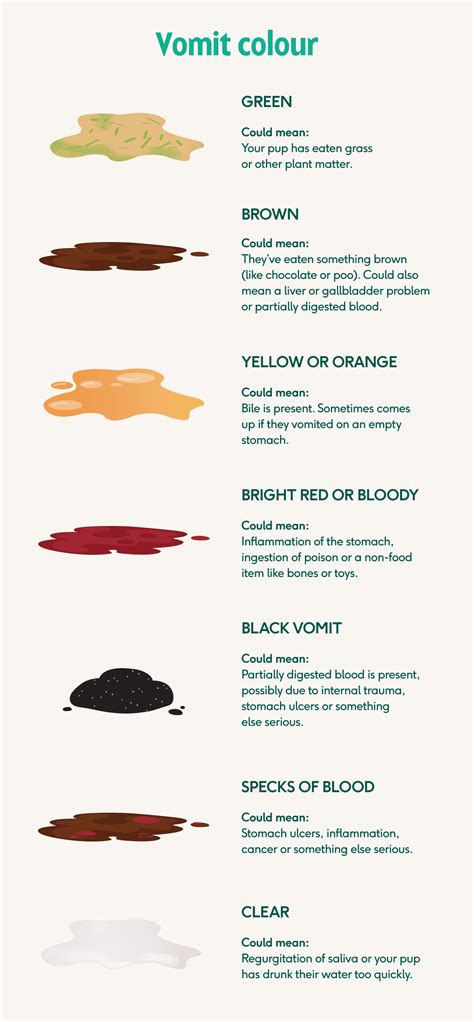 red colored vomit