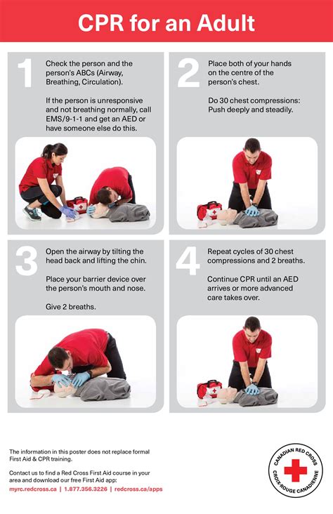 red cross basic first aid