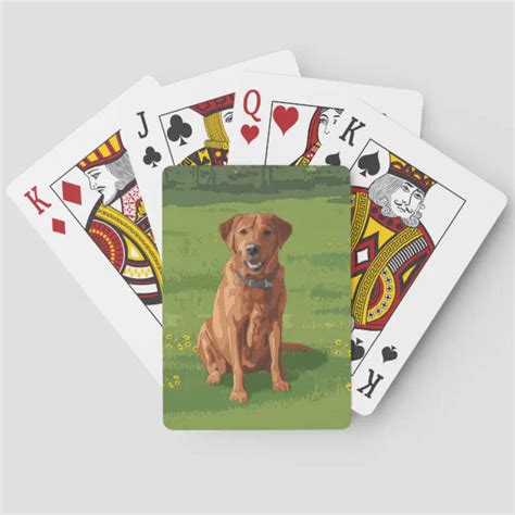 Red Dog Cards