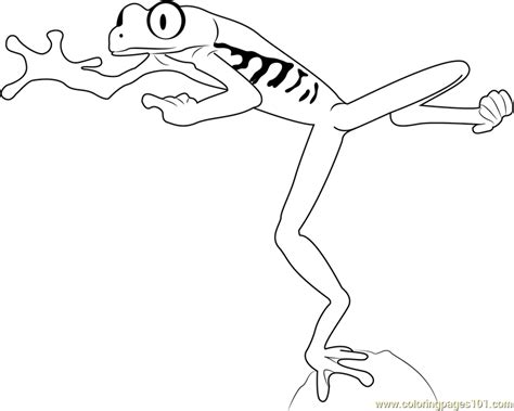 Red Eyed Tree Frog Jumping Coloring Page Red Eye Tree Frog Coloring Page - Red Eye Tree Frog Coloring Page