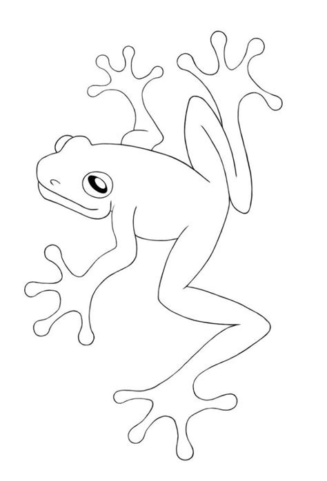 Red Eyed Tree Frog Printable Coloring Book Pages Red Eye Tree Frog Coloring Page - Red Eye Tree Frog Coloring Page