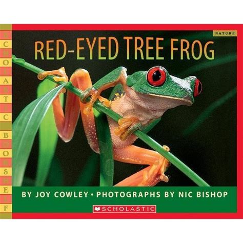 Red Eyed Tree Frog Scholastic Bookshelf
