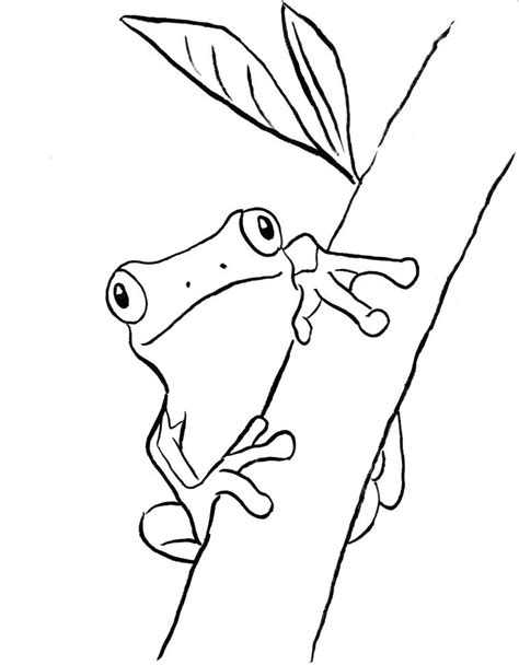 Red Eyed Tree Frogs Printable Coloring Book Pages Red Eye Tree Frog Coloring Page - Red Eye Tree Frog Coloring Page