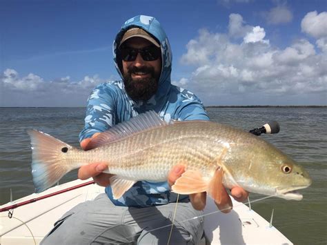 red fish florida