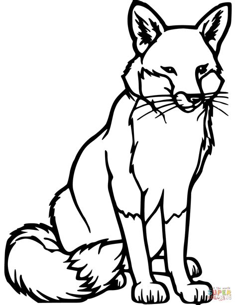 Red Fox Coloring Page   Fox Red Coloring Page - Red Fox Coloring Page