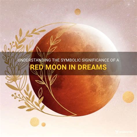 Red Moon Understanding And Using The Gifts Of The Menstrual Cycle Womens Health Parenting By Gray Miranda 1994 Paperback