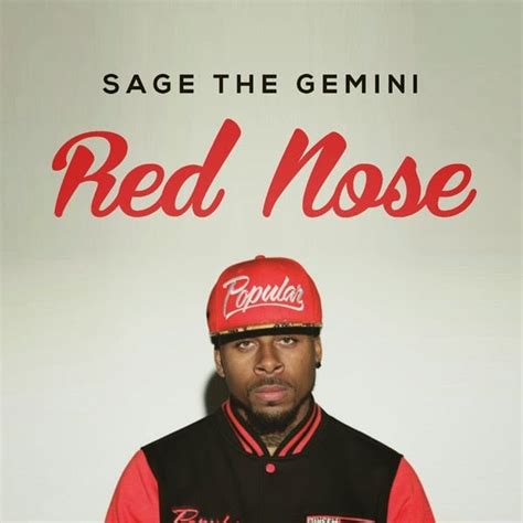 red nose sage the gemini lyrics