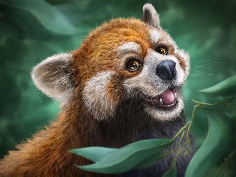 red panda totem – The Light Behind the Story