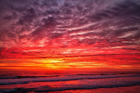 Red Sky At Morning Study Questions
