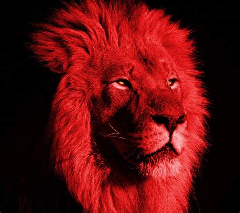Red The Lion
