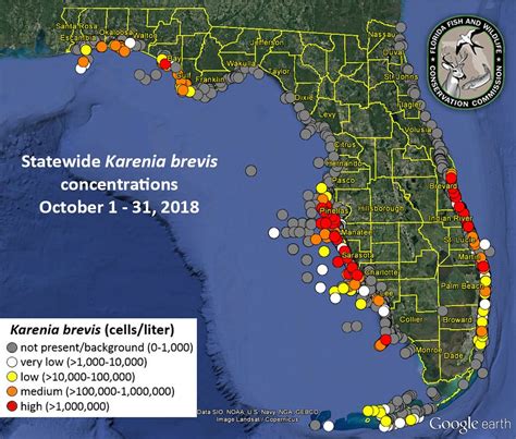 red tide map florida