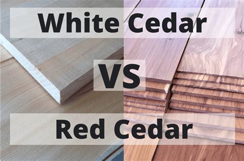 Red Vs White Cedar Fence