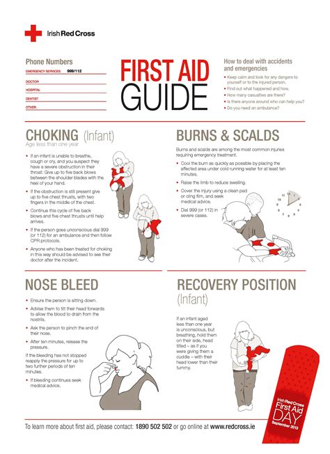 Read Online Red Cross First Aid Guide 