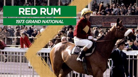 Read Online Red Rum A Racing Legend 