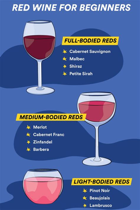 Read Online Red Wine Guide Beginners 