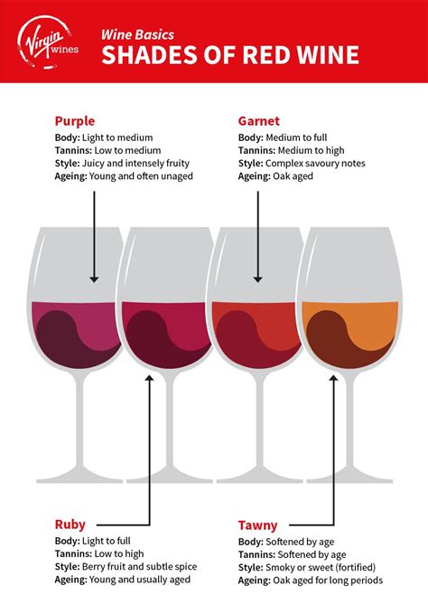 Read Online Red Wine Guide For Dummies 