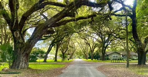 reddick florida