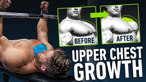 Reddit Amazing Upper Chest