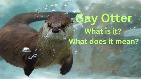 Reddit Gay Otters