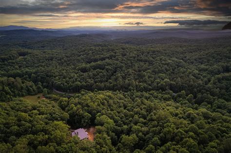 reddit georgia