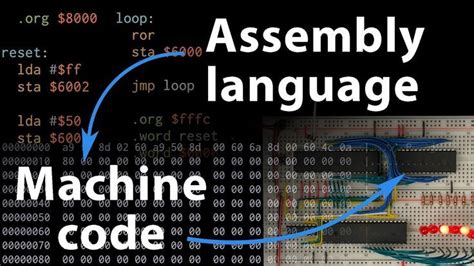 reddit learn assembly language