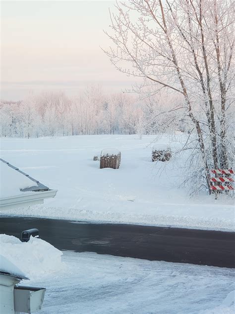 reddit minnesota