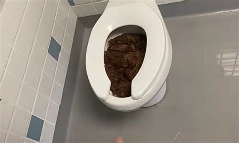 Reddit Poop