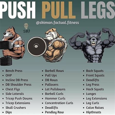 Reddit Push Pull Legs