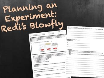 Redi Experiment Teaching Resources Teachers Pay Teachers Tpt Redi S Experiment Worksheet - Redi's Experiment Worksheet