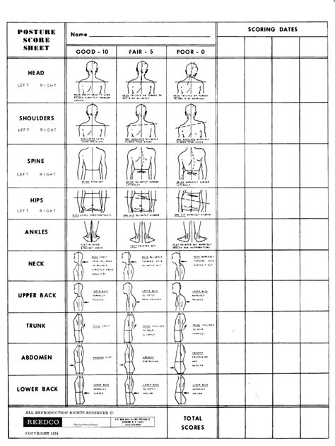 Reedco Posture Score Sheet