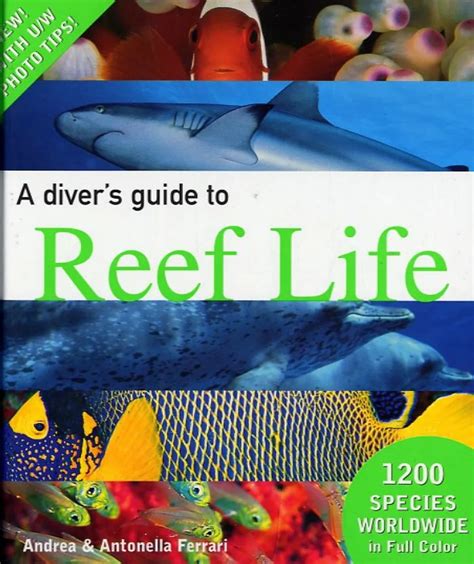 Reef Life A Guide To Tropical Marine Life
