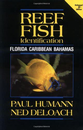 Download Reef Fish Identification Florida Caribbean Bahamas Paperback By Paul Humann 