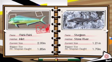 Reel Fishing Walkthrough