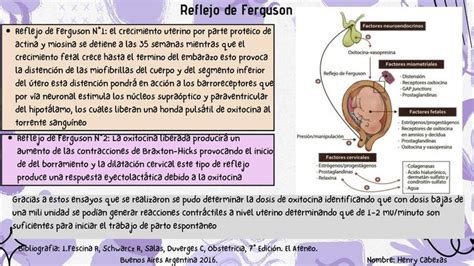 Reflejo De Ferguson