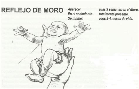 Reflejo De Moro