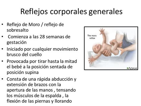 Reflejos De Moro