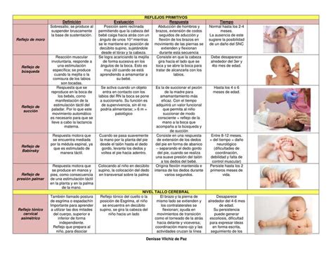 reflejos neonatales primarios pdf