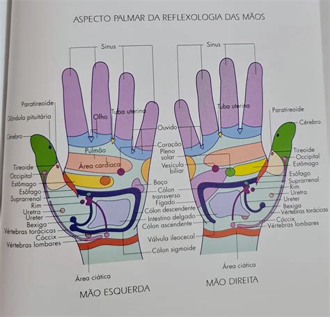 Reflexologia Da Mão