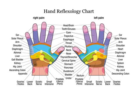Reflexology Hand