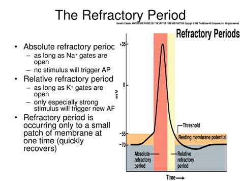 Refractory Period Neuron