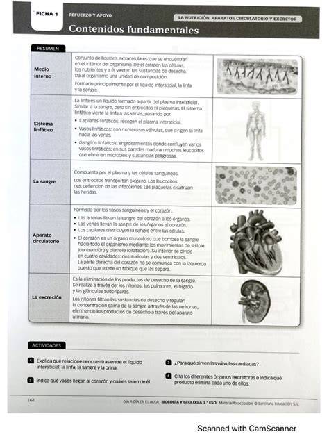 refuerzo bio 3 eso