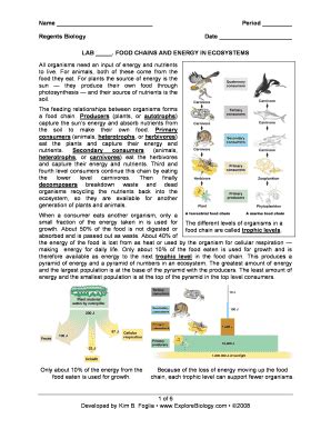 Download Regents Biology Lab Food Chains And Energy In Ecosystems Answers 