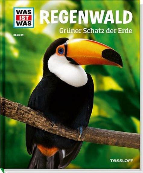 regenwald gruner schatz der erde