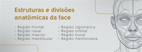 Regioes Da Face